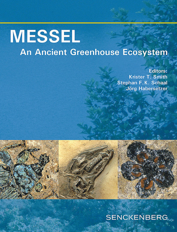 Messel - An Ancient Greenhose Ecosystem