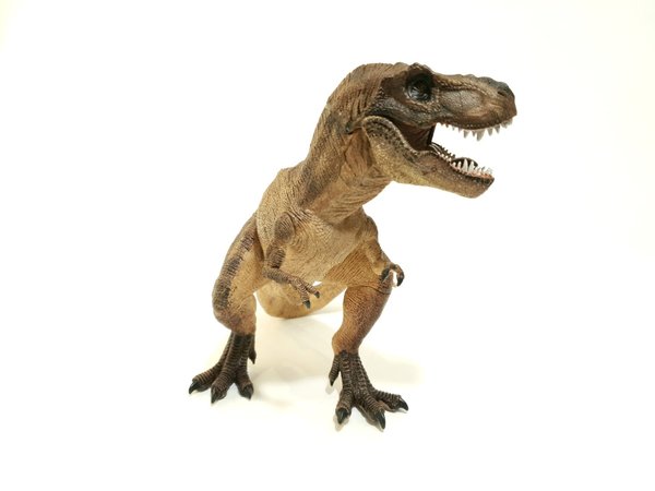 T-Rex braun