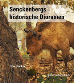Senckenbergs historische Dioramen